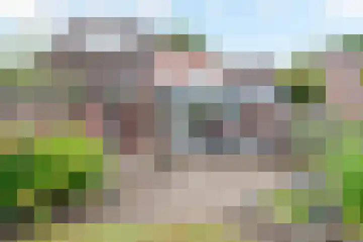 van Camminghaweg 3 Arum thumbnail 30