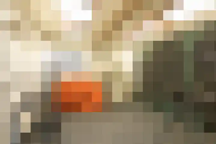 van Camminghaweg 3 Arum thumbnail 41