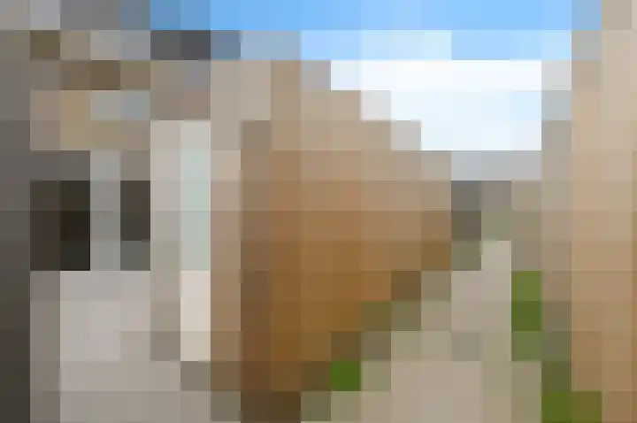 van Camminghaweg 3 Arum thumbnail 5