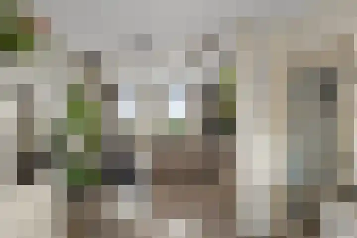 van Camminghaweg 47 Arum thumbnail 8