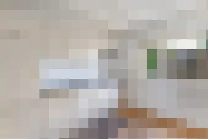 van Camminghaweg 49 Arum thumbnail 10