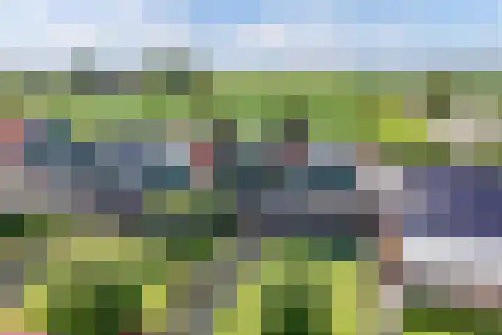 van Camminghaweg 49 Arum foto 2