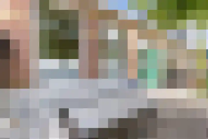 van Camminghaweg 49 Arum thumbnail 4