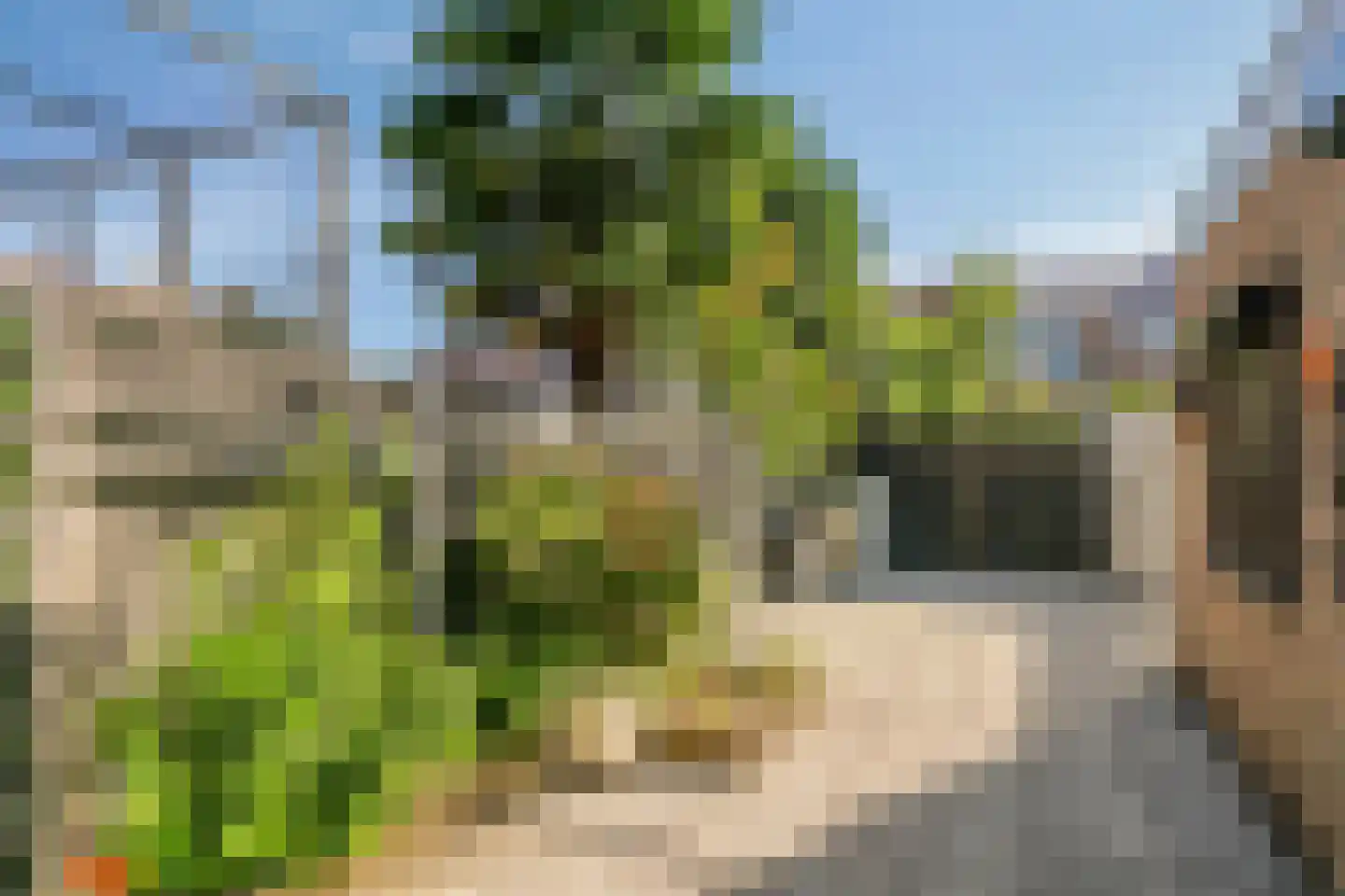 van Cantfortstraat 28 Terneuzen thumbnail 19