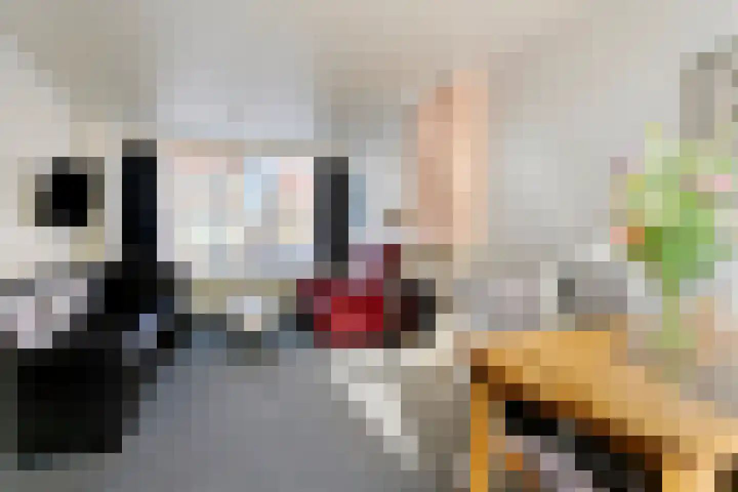 van Cantfortstraat 28 Terneuzen thumbnail 6