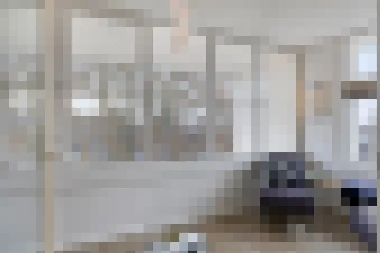 van Cappellestraat 21 Doetinchem thumbnail 10