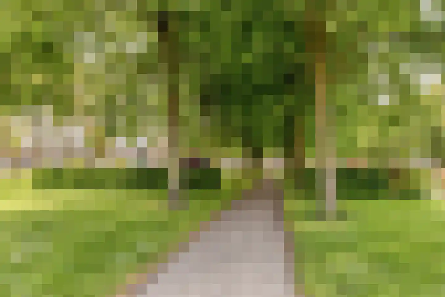 van Cittersstraat 16 Heinkenszand thumbnail 30