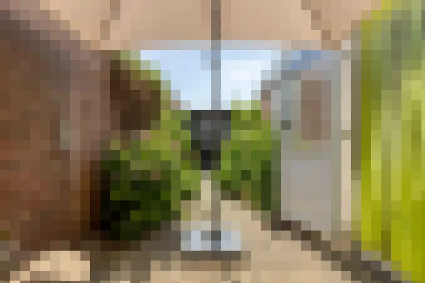 Van Cittersstraat 19 Middelburg thumbnail 22