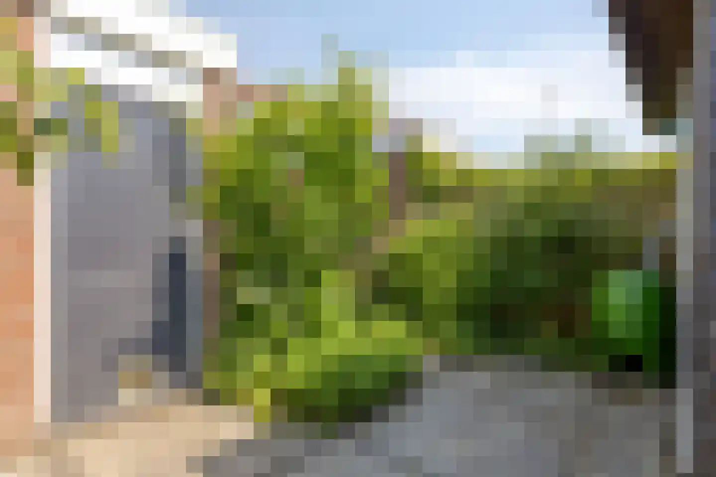 Van Cittersstraat 19 Middelburg thumbnail 26