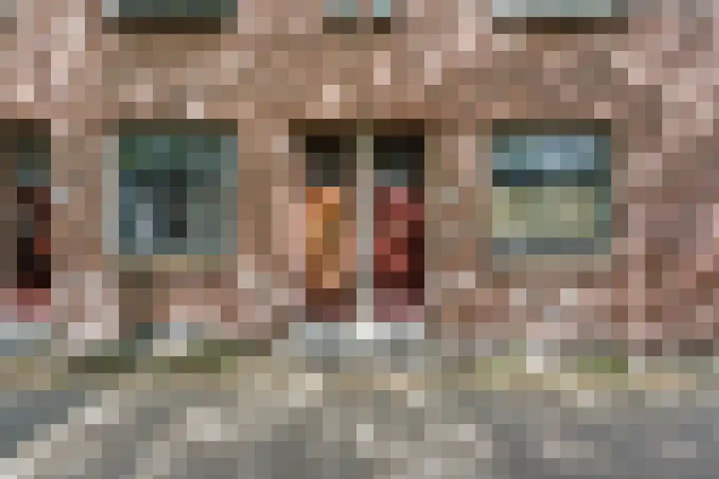 Van Cittersstraat 23 B 02 Rotterdam thumbnail 29