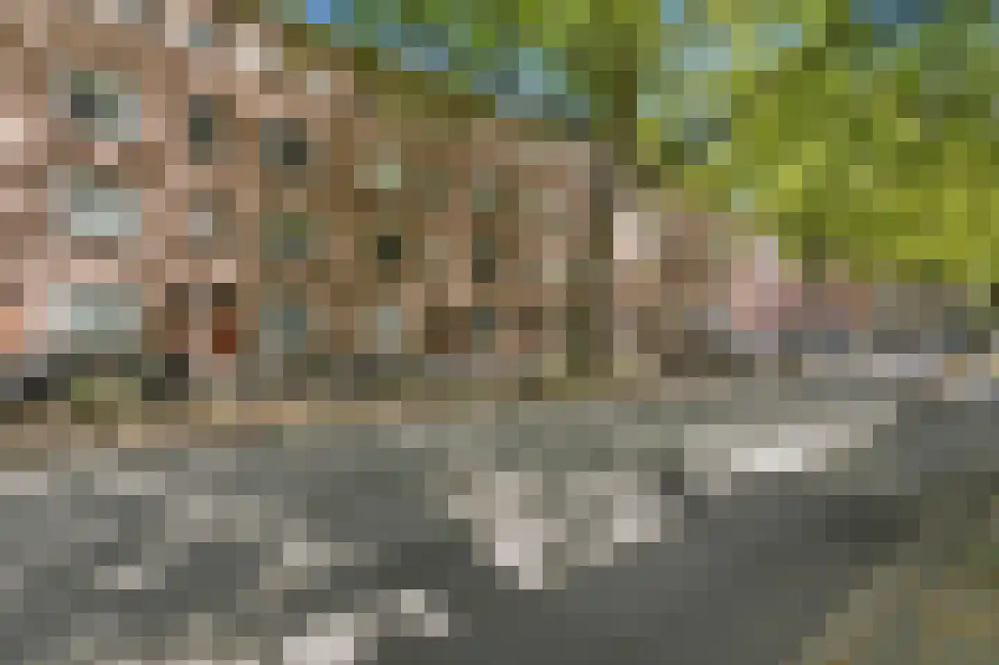 Van Cittersstraat 23 B 02 Rotterdam thumbnail 31