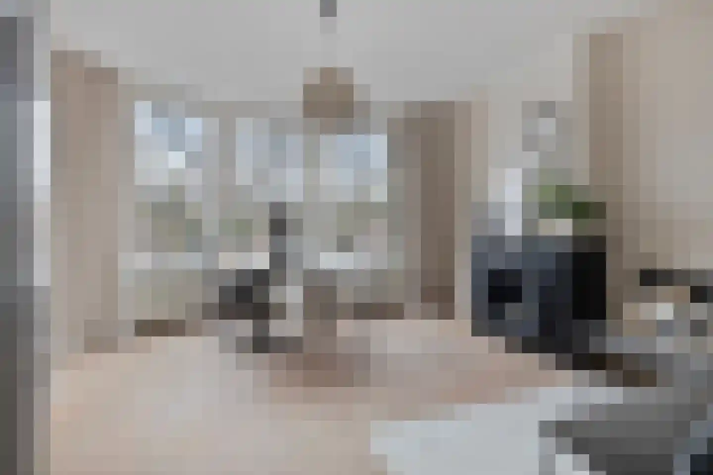 Van Cittersstraat 28 B Rotterdam thumbnail 27