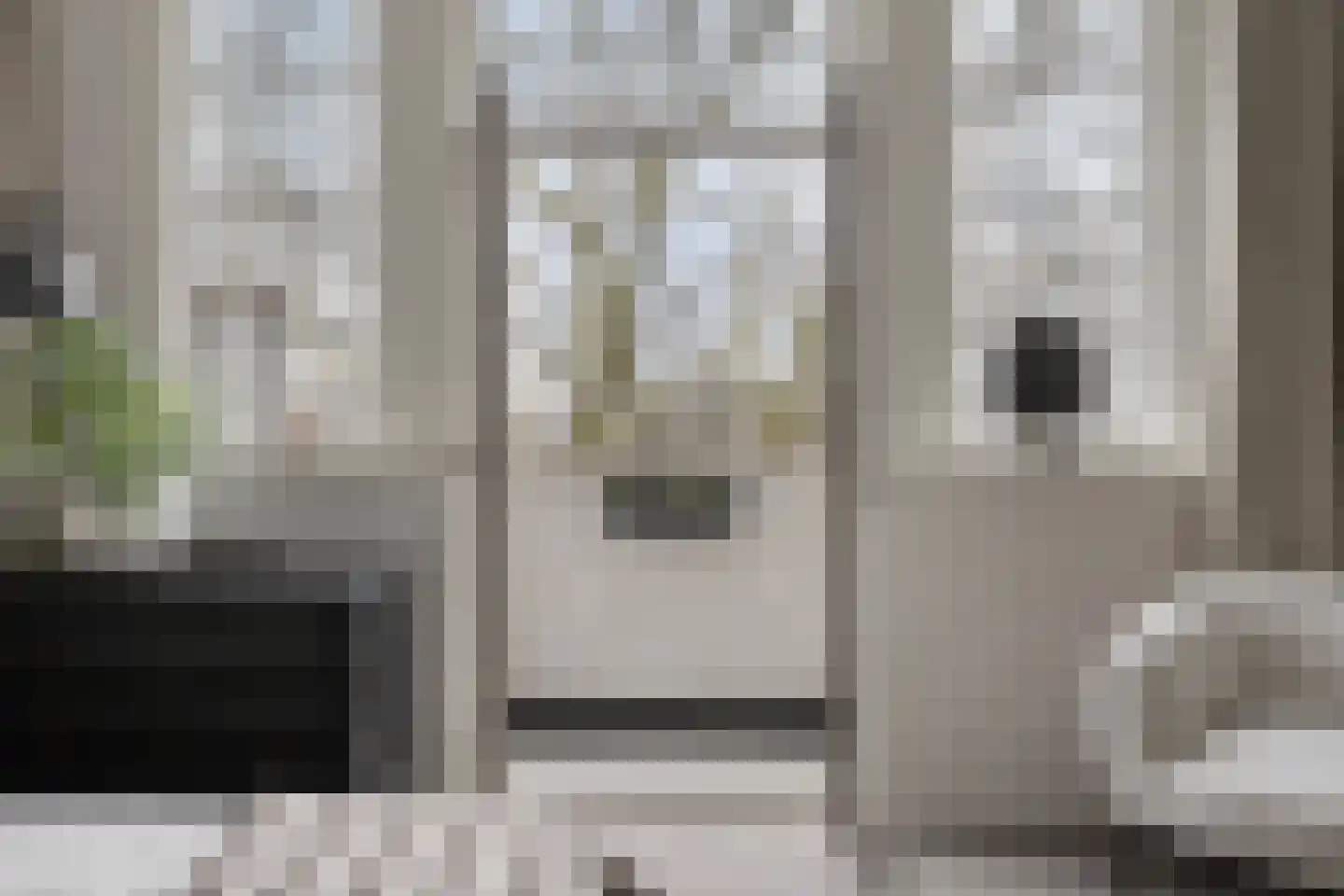 Van Cittersstraat 28 B Rotterdam thumbnail 36