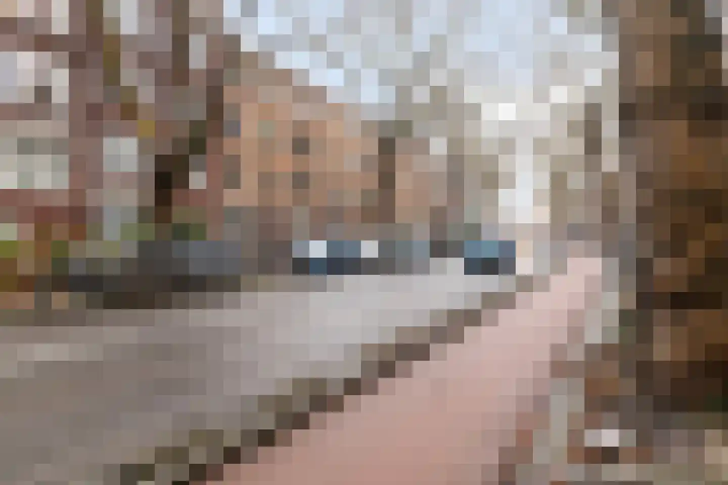 Van Cittersstraat 28 B Rotterdam thumbnail 48
