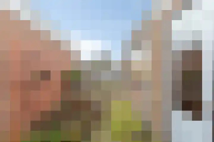Van Cittersstraat 30 Middelburg thumbnail 18
