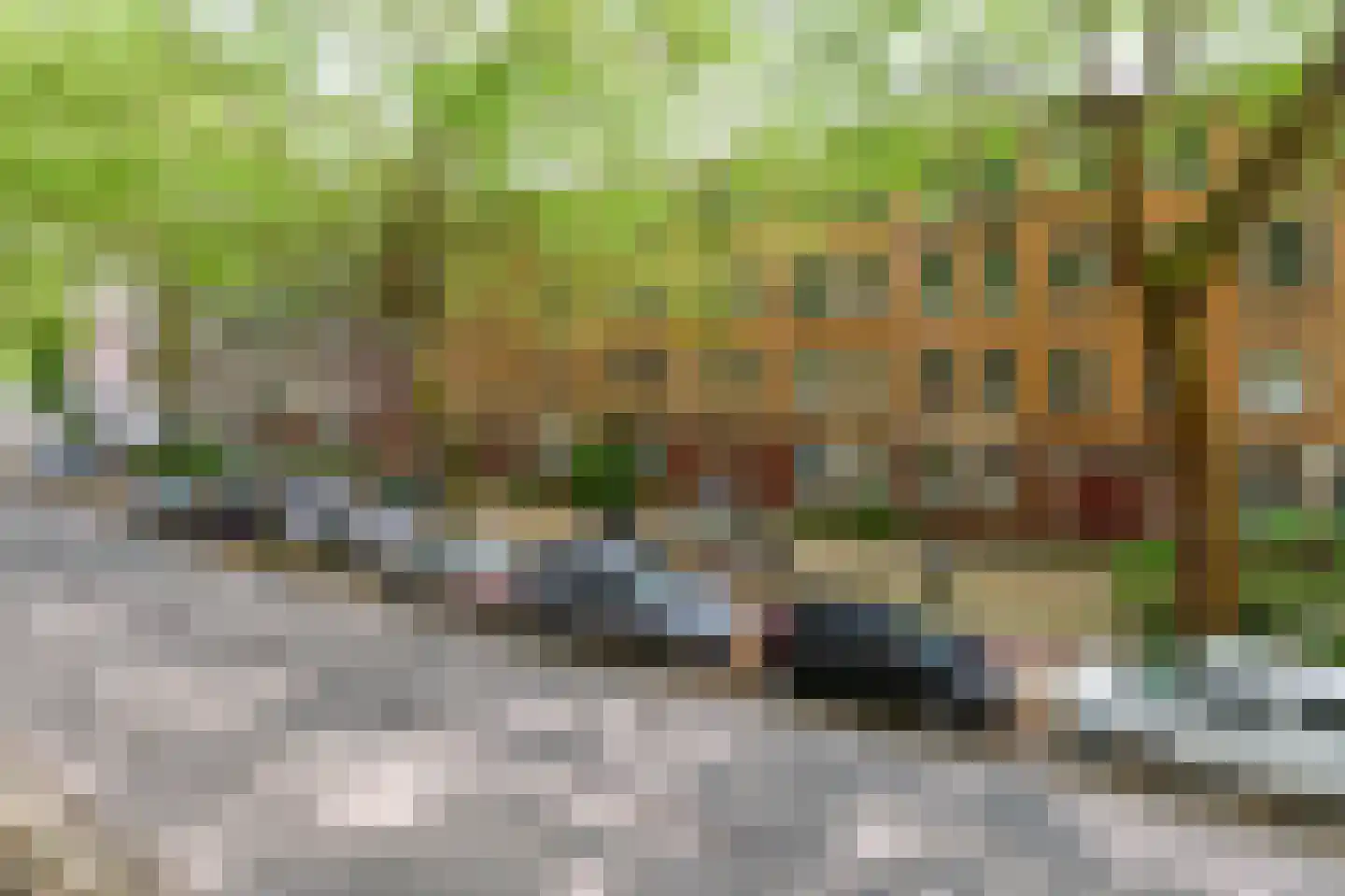 Van Cittersstraat 36 B Rotterdam thumbnail 35