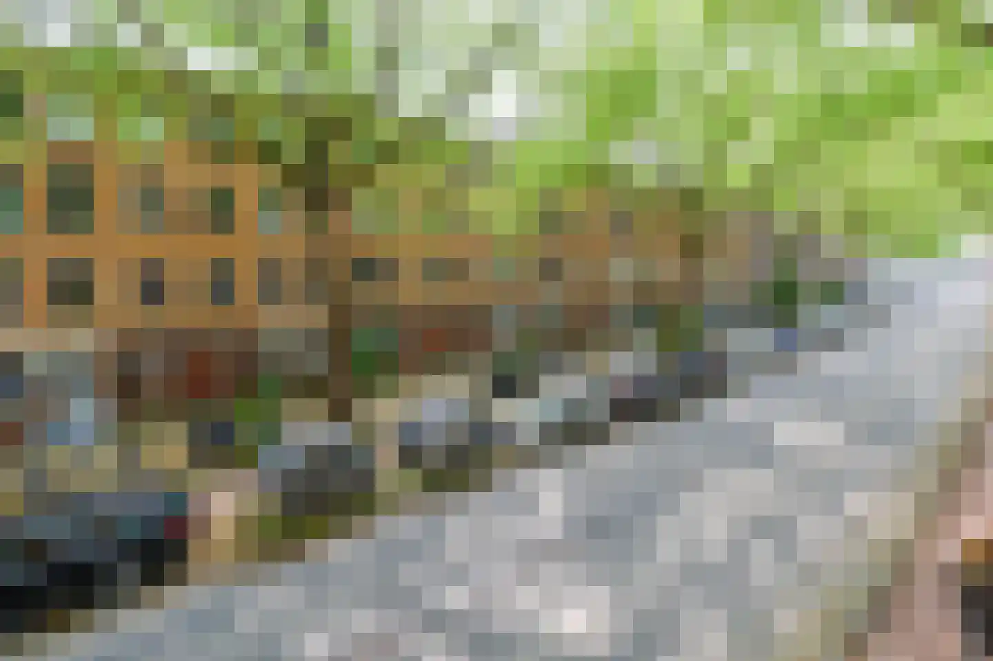 Van Cittersstraat 36 B Rotterdam thumbnail 37