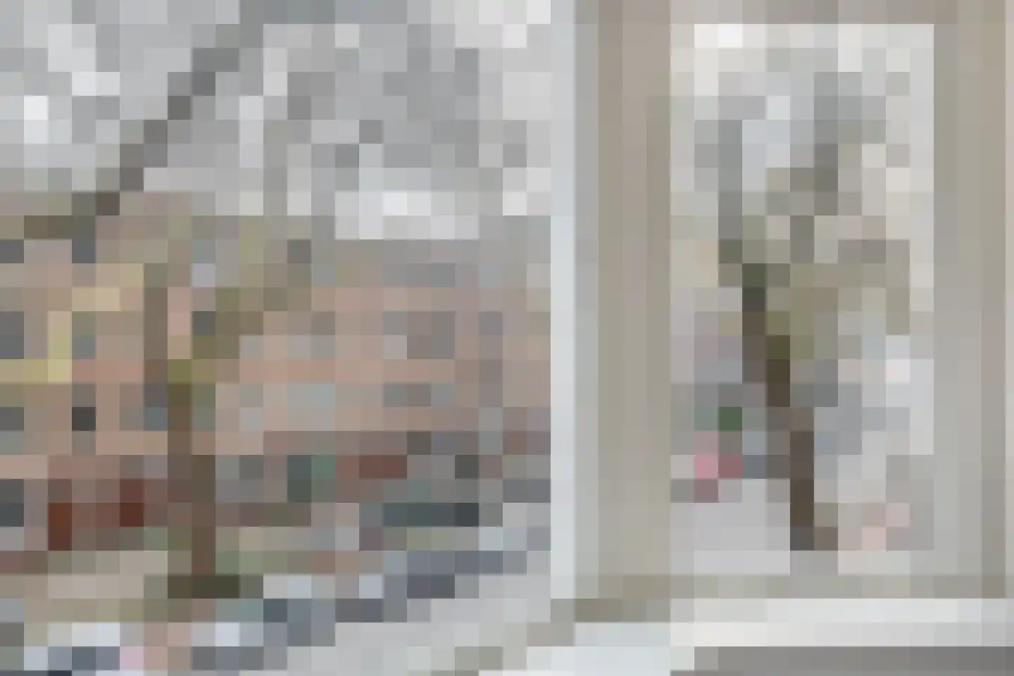 Van Cittersstraat 37 B Rotterdam thumbnail 14