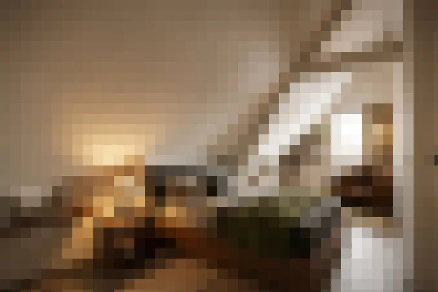 Van Cittersstraat 37 B Rotterdam thumbnail 32