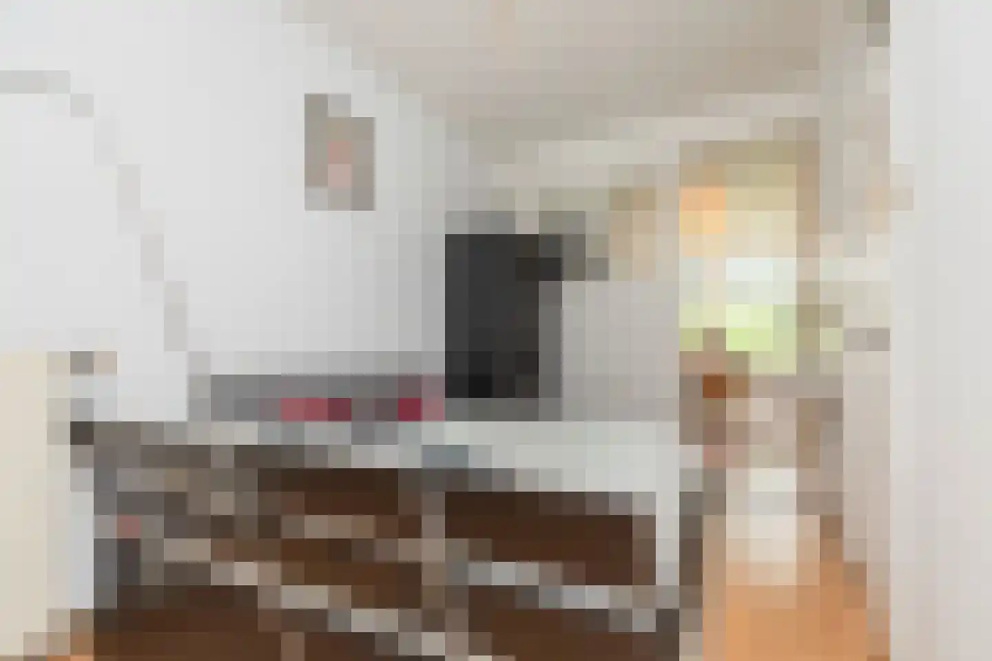 Van Cittersstraat 43 B Rotterdam thumbnail 13