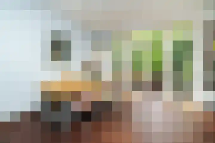 Van Cittersstraat 45 B Rotterdam thumbnail 11