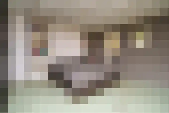 Van Cittersstraat 45 B Rotterdam thumbnail 30