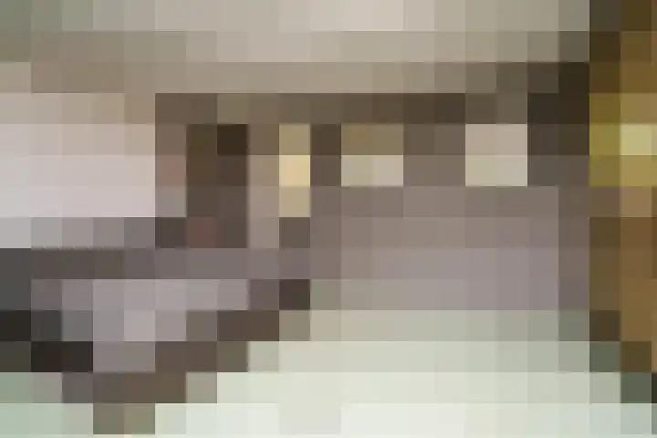 Van Cittersstraat 45 B Rotterdam thumbnail 31