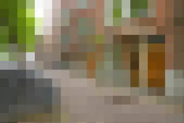 Van Cittersstraat 45 B Rotterdam thumbnail 32