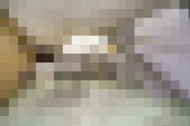 Van Cittersstraat 45 B Rotterdam thumbnail 7