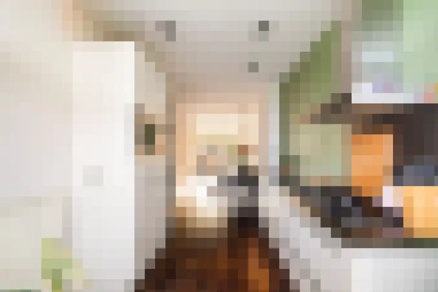 Van Cittersstraat 47 B Rotterdam thumbnail 19