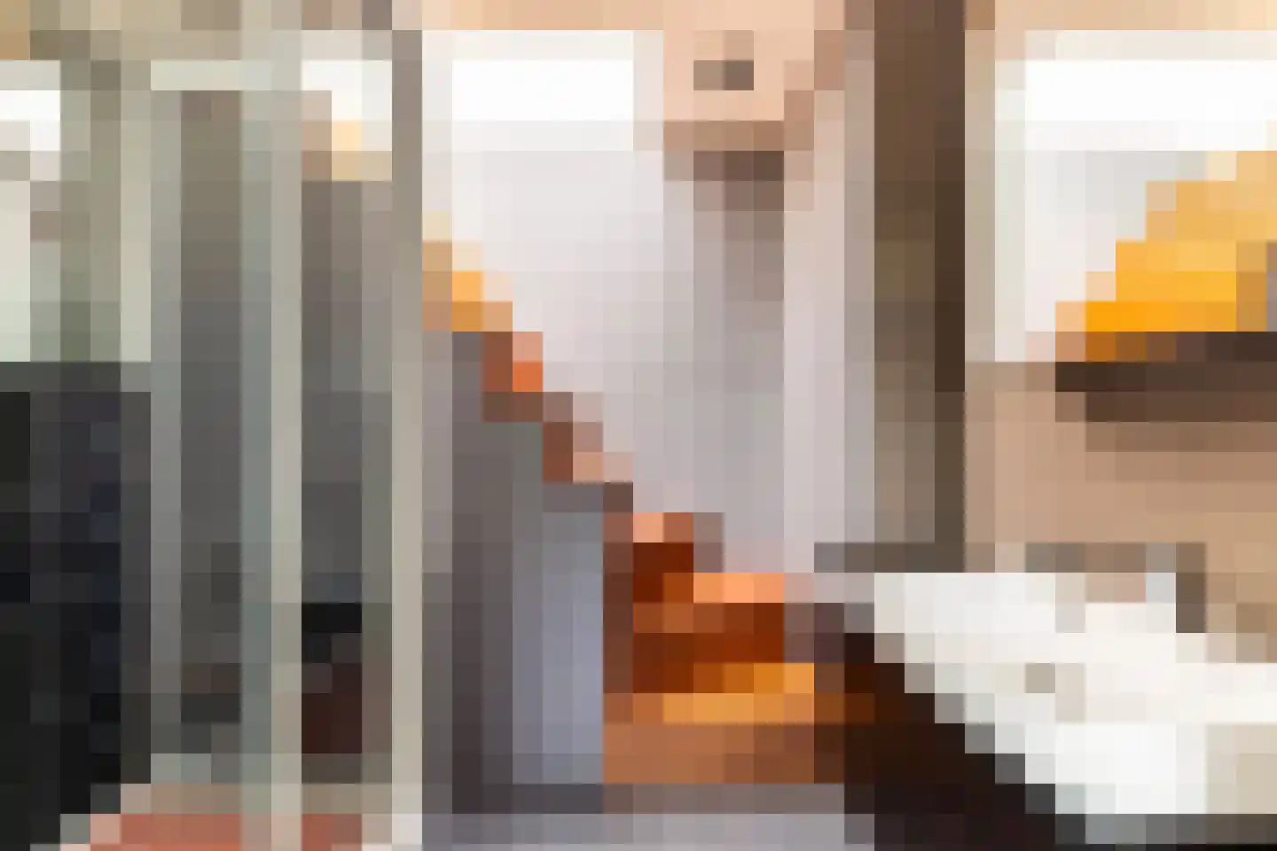 Van Cittersstraat 47 B Rotterdam thumbnail 34