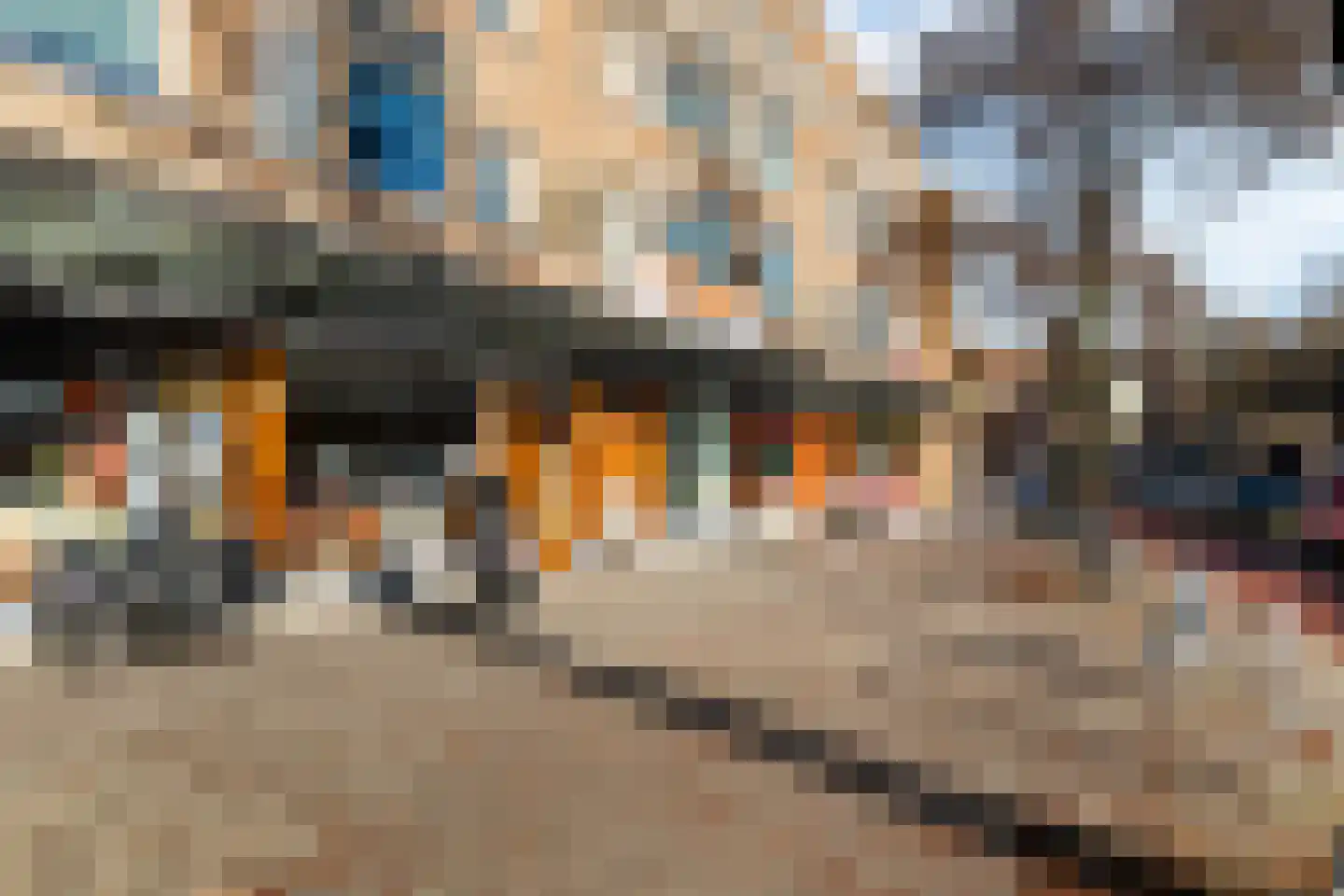 Van Cittersstraat 47 B Rotterdam thumbnail 45