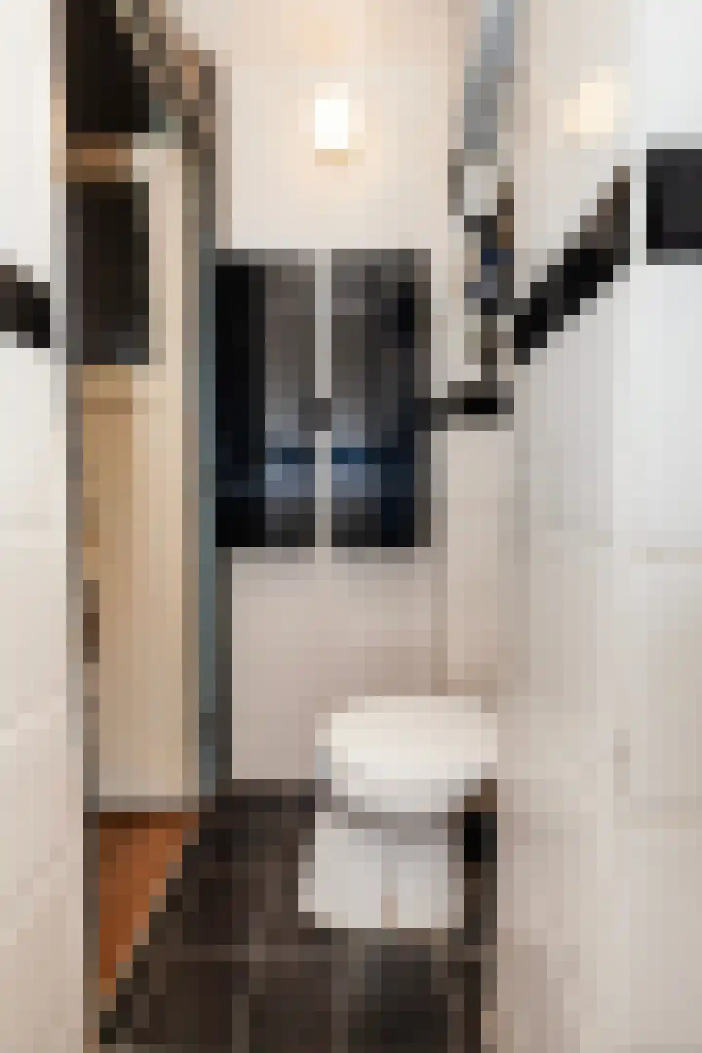 Van Cittersstraat 51 B 03 Rotterdam thumbnail 6