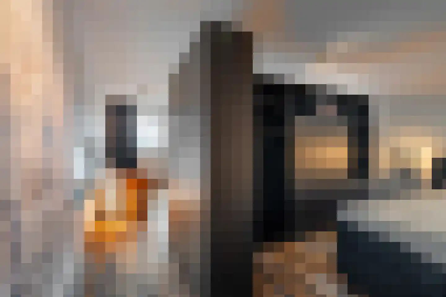 Van Cittersstraat 94 Rotterdam thumbnail 17