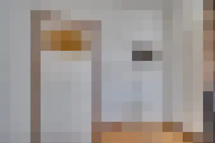 van Cleefstraat 32 Venlo thumbnail 31