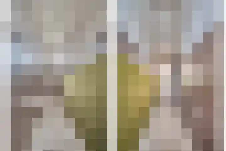 van Cleefstraat 32 Venlo thumbnail 4