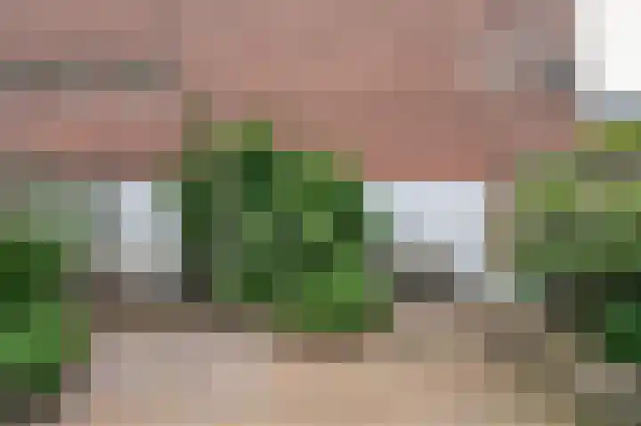 van Cleefstraat 32 Venlo thumbnail 51