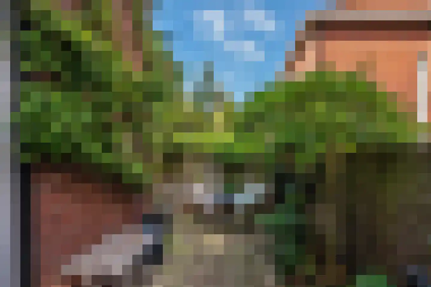 van Cleefstraat 43 Venlo thumbnail 41