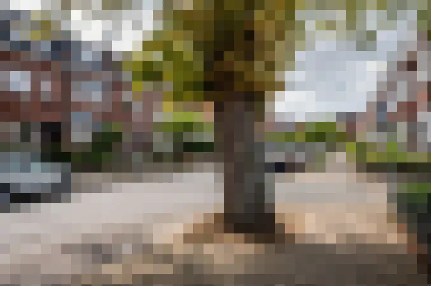 van Cleefstraat 43 Venlo thumbnail 45