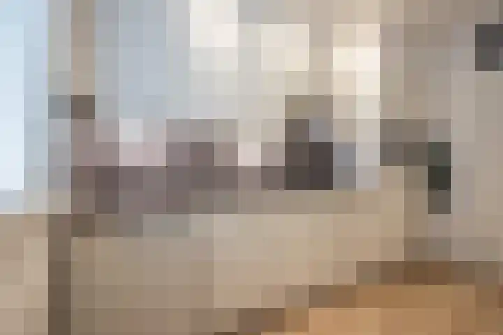 Van Coehoornhof 55 Tilburg thumbnail 11