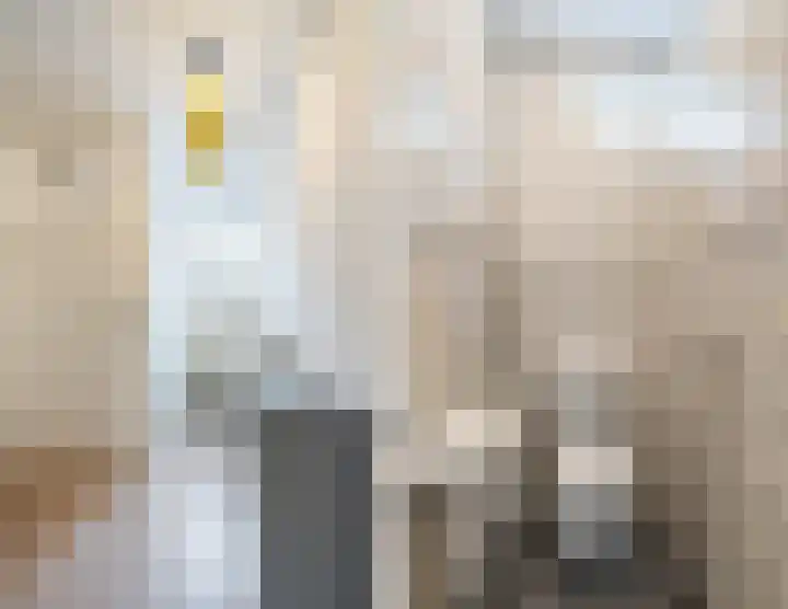 Van Coehoornhof 55 Tilburg thumbnail 13