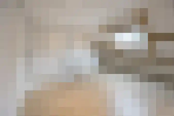 Van Coehoornhof 55 Tilburg thumbnail 24