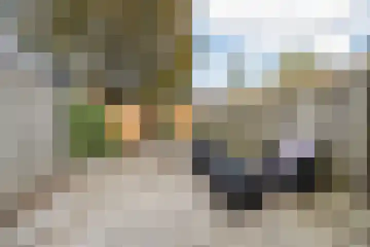 Van Coehoornhof 55 Tilburg thumbnail 28