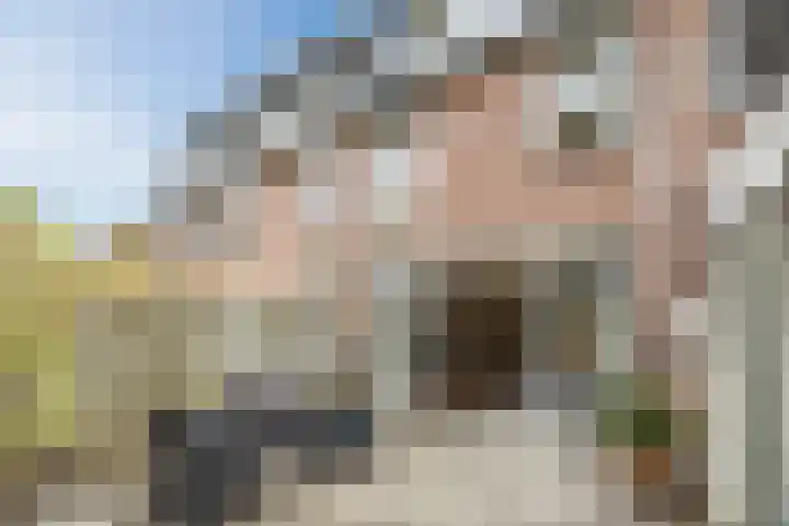 Van Coehoornhof 55 Tilburg thumbnail 30