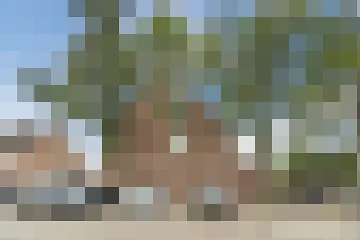 Van Coehoornhof 55 Tilburg thumbnail 35