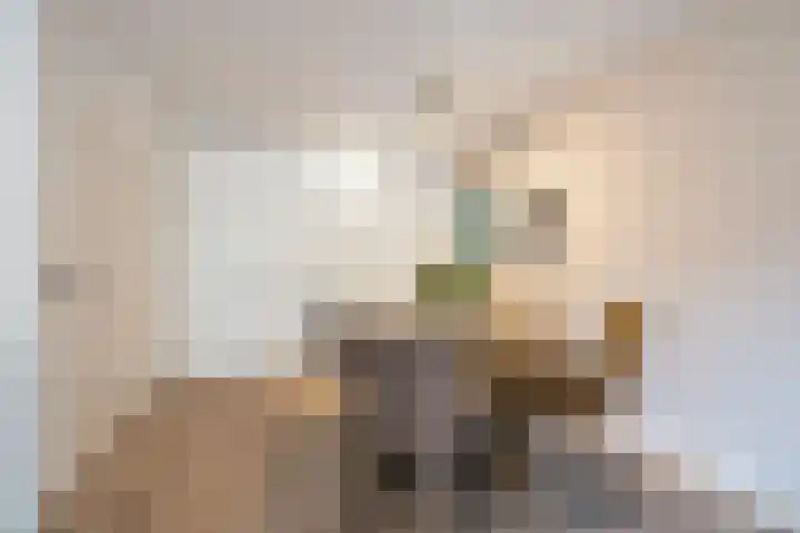 Van Coehoornhof 55 Tilburg thumbnail 7