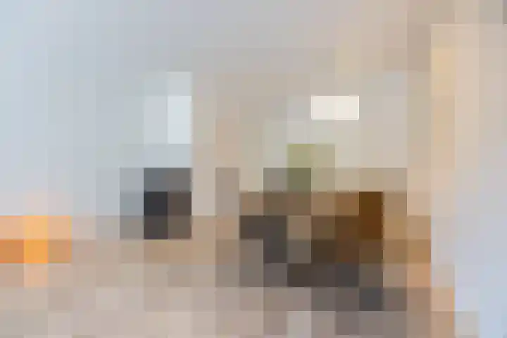 Van Coehoornhof 55 Tilburg thumbnail 8