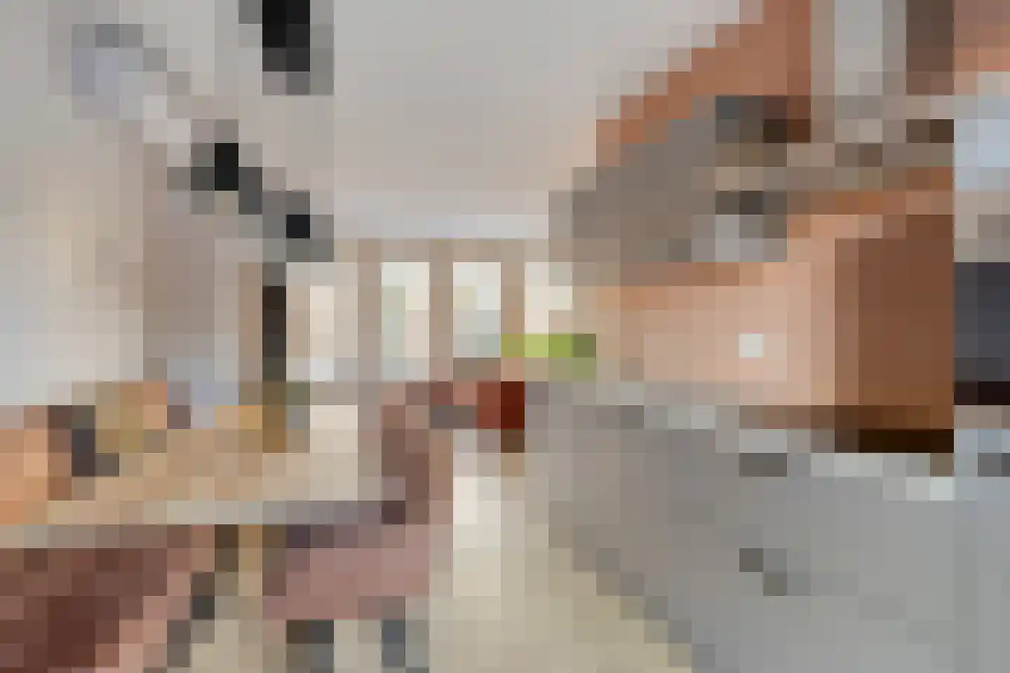 van Coehoornplein 1 's-Hertogenbosch thumbnail 10