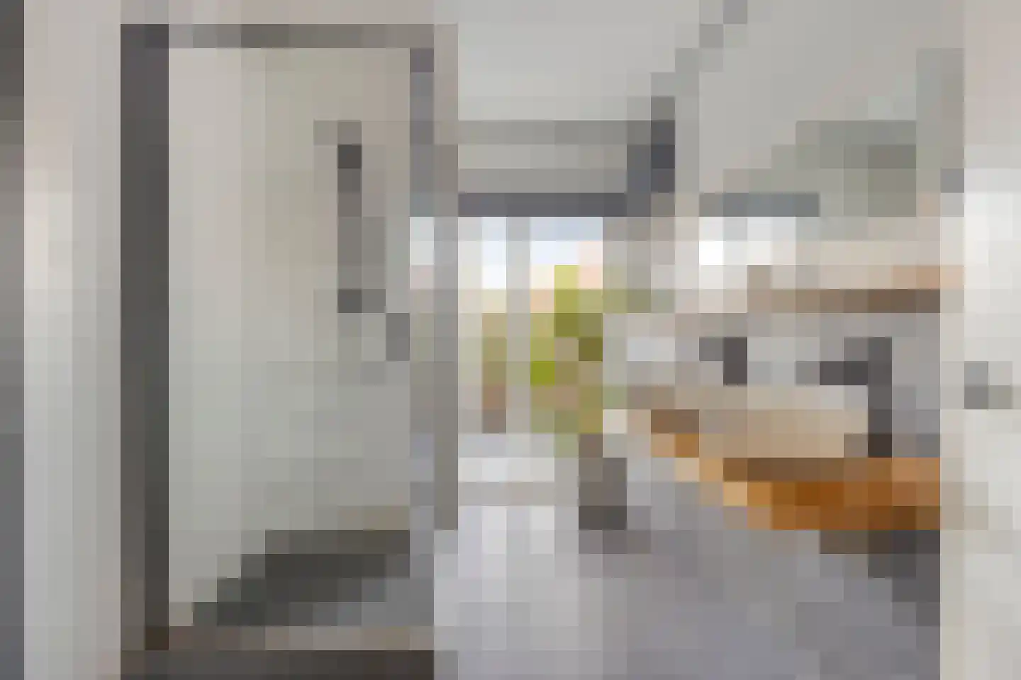 van Coehoornplein 1 's-Hertogenbosch thumbnail 16