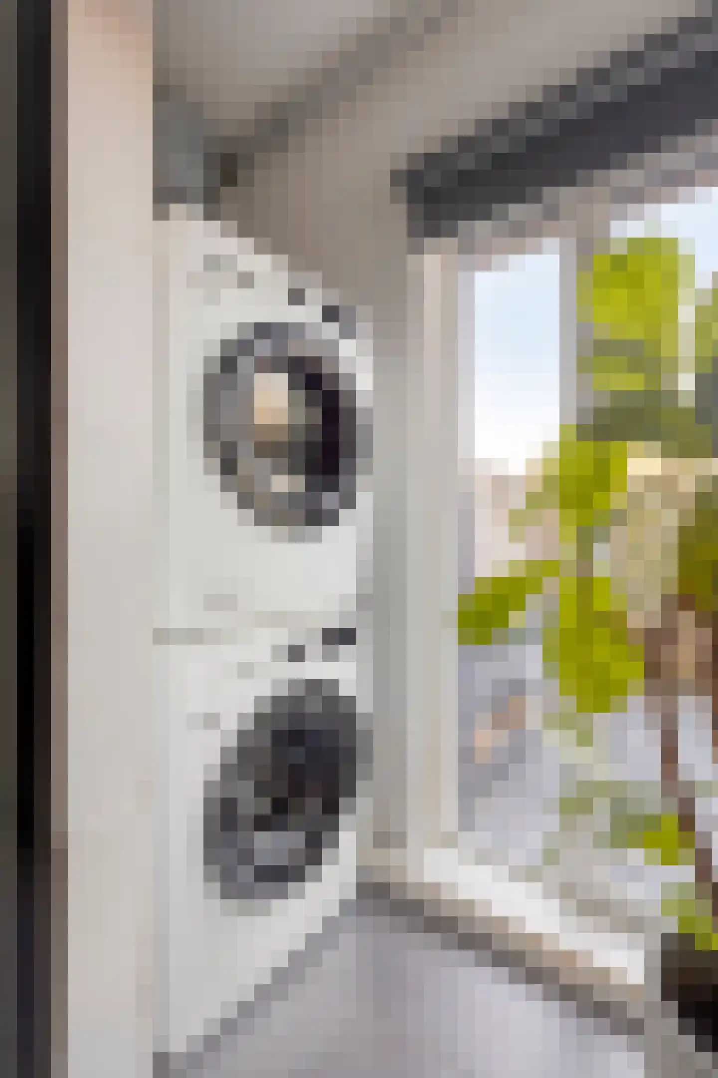 van Coehoornplein 1 's-Hertogenbosch thumbnail 17
